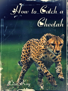 How to Catch a Cheetah - Jutoh