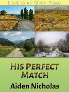 His Perfect Match - Jutoh (P6)